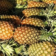Свежие ананасы фото