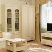 Мебель корпусная, мебель мягкая от производителя Донецкая область фото