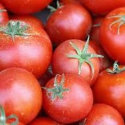 Помидоры (Киев), томаты свежие, купить помидоры, продажа помидоров, цена на помидоры.