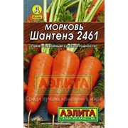 Семена Морковь Шантенэ 2461 фотография