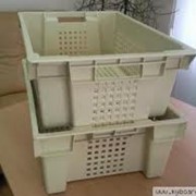 Тара из полипропилена для пищевых продуктов фото