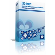 ISO 9001 Система Менеджмента Качества. Набор разработчика. фото
