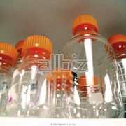 Экстракорпоральное оплодотворение фото