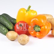 Овощи свежие: капуста, свекла, морковь, картофель фото