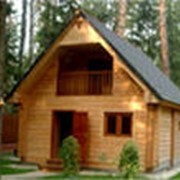 Строительство деревянных бань из кедра фото
