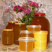 Мёд свежий натуральный с личной пасеки