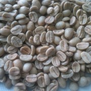 Кава зелена в зернах Арабіка, Робуста фото