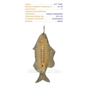 Термометр сувенирный Д-21 Рыба ТУ У 33.2-14307481.027-2002 фото
