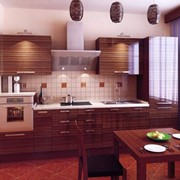 Изготовление встроенной кухонной мебели и техники на заказ. фотография