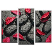 Картина Черные камни с красными лепестками фото