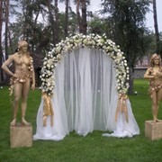 Арка, венчальная арка, арка на свадьбу фото