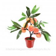Искусственное растение Персик, W40 H40см фотография