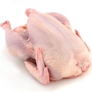 Мясо охлажденное, замороженное кур бройлеров: тушка, филе, окорок, стегно и др. фото