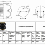 Пневмобаллон 2-х секционный в сборе для авто 10 тн фото