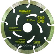 Круг алмазный 125мм сегмент фото