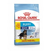 Royal Canin 3кг+1кг Maxi Puppy Сухой для щенков крупных пород с 2 до 15 месяцев фотография