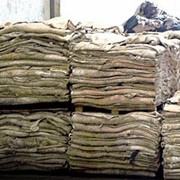 Шкуры крупного рогатого скота в Алматы фото