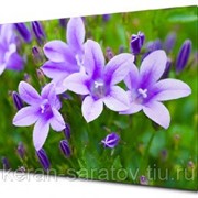 Картина на холсте 50х70 п97 фото