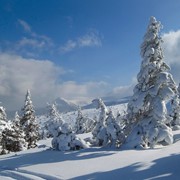 Зимний отдых в Карпатах фото