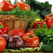 Овощи свежие фото