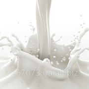 Молоко сухое обезжиренное 1.5%, натуральное 100% фото