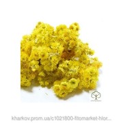 Бессмертник песчаный (Helichrysum arenarium, Сухоцвет) цветы 100 грамм фото