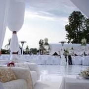 Организация мероприятий в Краснодаре фото
