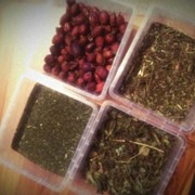 Medicinal herbs фотография