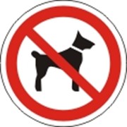 Вход с животными запрещён, знаки безопасности фото