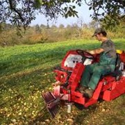 Подбор оборудования под технологию выращивания овощей