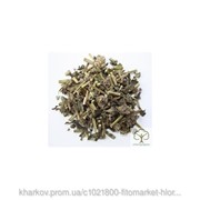 Буквица лекарственная (Betonica officinalis, herba Stachys officinalis ) трава 100 грамм фото