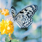 Алмазное рисование в 3Д Бабочка 50х50 см фото