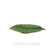 Блюдо листок 22см * 12,8см Киото Грин/6/ 22126C/PT555 фотография