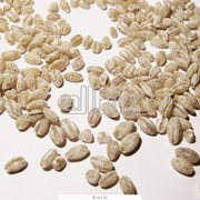 Крупы пшеничные фото