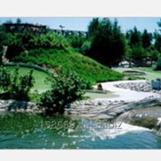 Приключенческая мини-гольф площадка фото