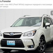 Автомобиль для инвалидов Welcab Subaru Forester фото