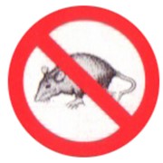 Уничтожение крыс