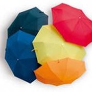 Зонты оптом фото