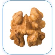 Грецкий орех - клacc «Экстра»: Равномерно светлоокрашенные ядра орехов с практическим отсутствием темно-соломенного и/или лимонно желтого оттенков и отсутствием темно-коричневых тонов. фото