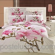 Комплект постельного белья Arya Oliver фото