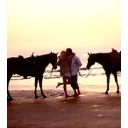 Романтическая прогулка на лошадях фотография
