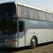 Поездки на комфортабельных автобусах с Юга Украины (Херсон, Николаев, Одесса, Крым) на игры с участием Национальной сборной Украины.