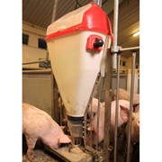 Кормораздатчик для свиней Tube-O-Mat фото