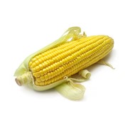Насіння кукурудзи ЕС ПАРОЛІ фотография