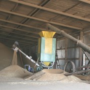 Сушка зерна, Хранение, Чистка зерна и ячменя, Элеватор в Северо-Казахстанской Области фото