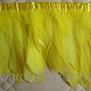 Тесьма перьевая из гусиных перьев. Цвет Yellow. (0. 5 м) ТГ12 фото