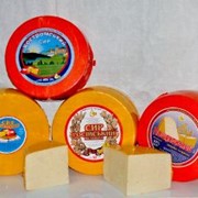 Сыр Российский сычужный