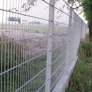 Забор двойной панельный забор Кольчуга фото
