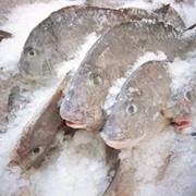 Рыба оптом, купить рыбу свежемороженую Украина