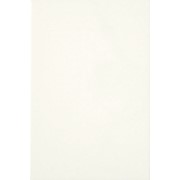 Плитка облицовочная Белая Люкс 200х300 мм фото